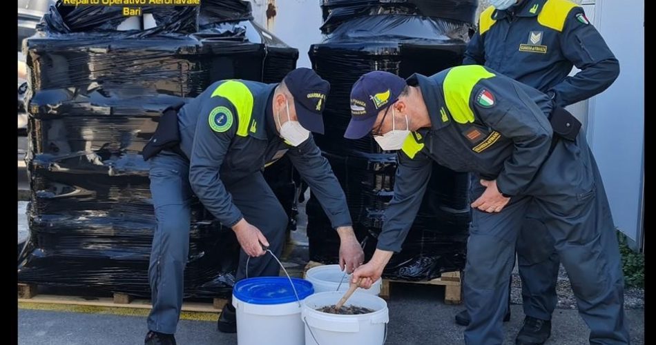 25032022_010144_foto 01