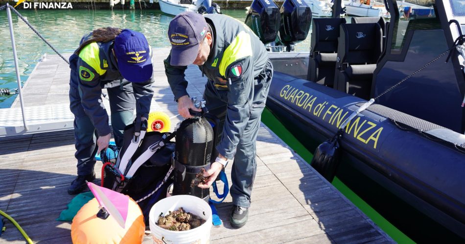 25032026_123548_FOTO 03