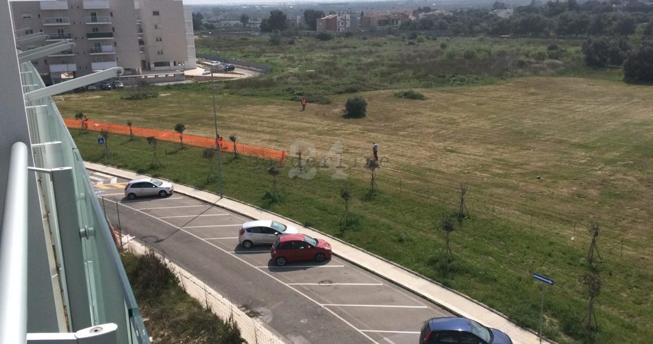 26-03-19 a Sant'Anna l'avvio del cantiere per la vasca di laminazione_554 giovani ultivi reimpiantati in via Conenna_2