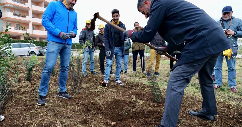 26-11-22 stamattina piantumazione mille alberi Palese_Fastweb_5