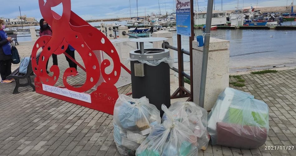 santo spirito polpo plastica