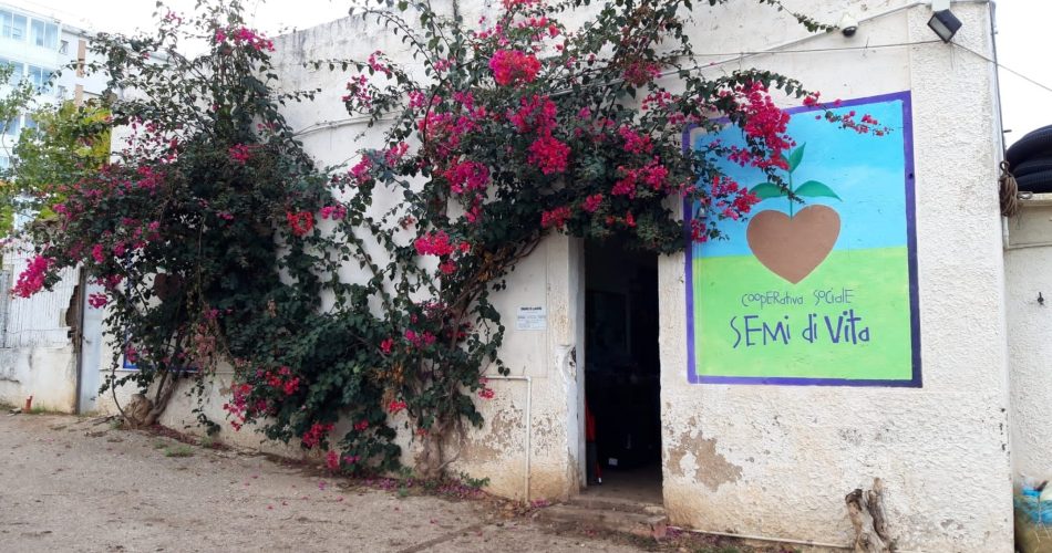 semi di vita