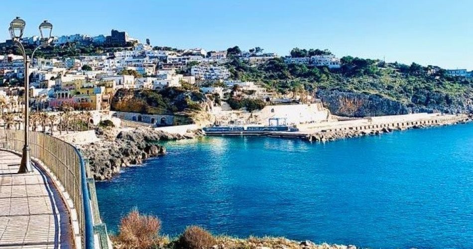 foto facebook comune castro