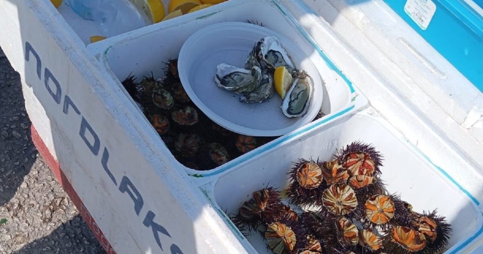 28-08-24 sequestro Molo san nicola -1 (1)