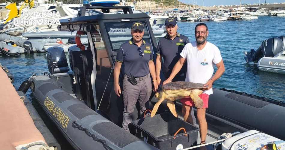 28082025_102024_Diapositiva2