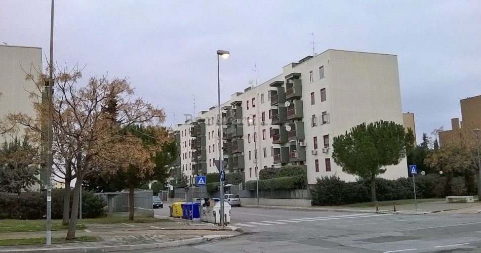 28275129_1948573495157302_947372156_o