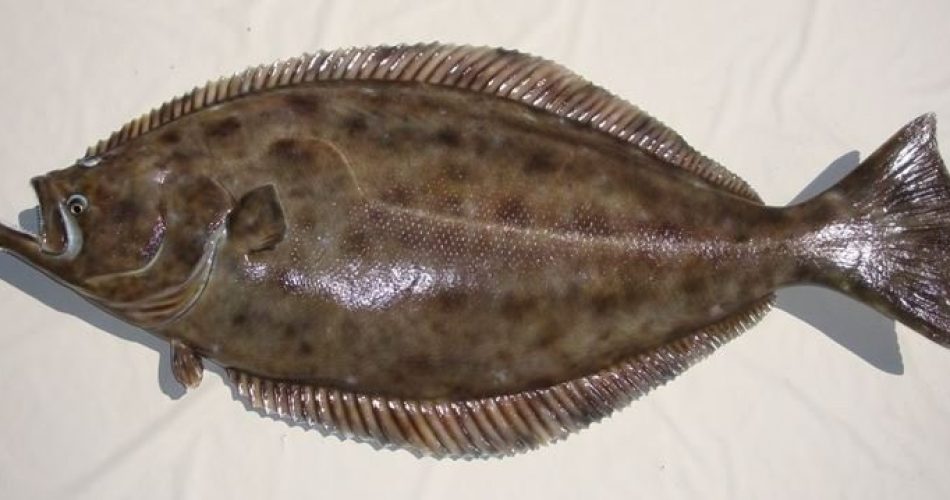 284535235_3095913047336471_2303358717305639368_n