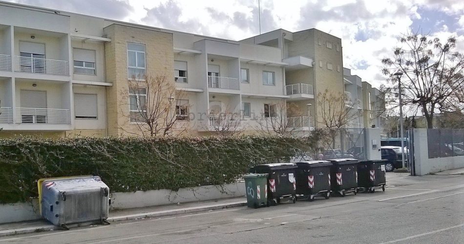 29186459_1975413445806640_916153813142863872_o