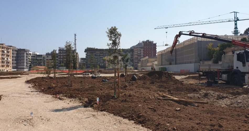 30-08-19 piantati i primi 20 alberi nella ex caserma Rossani 1