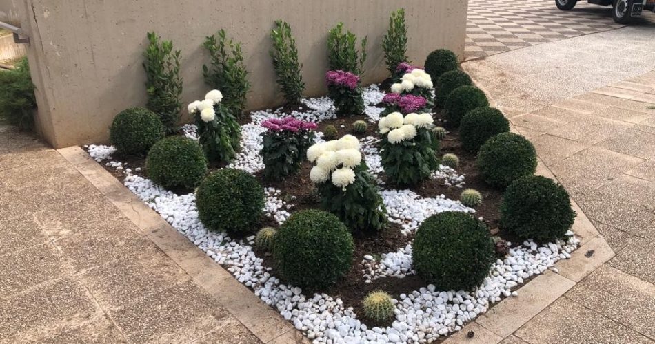 30-10-23 nel cimitero monumentale l'iniziativa di sponsorizzazione Adotta un fiore_1