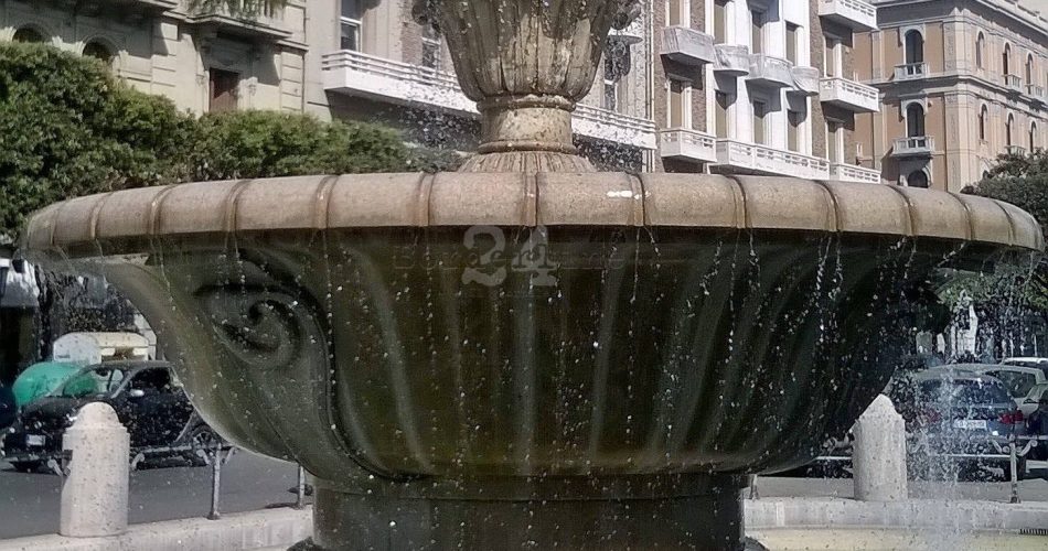 31171424_2022682054413112_3045874305335296000_n