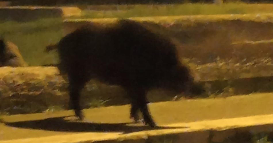 324436177_1222618934995937_161826246901701604_n