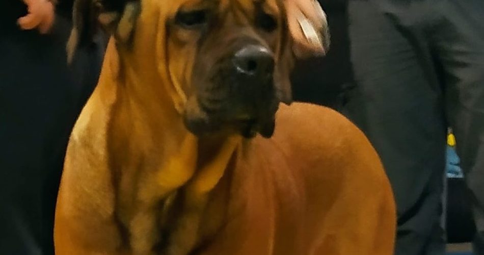 325667289_2332772776896477_143355108065565785_n