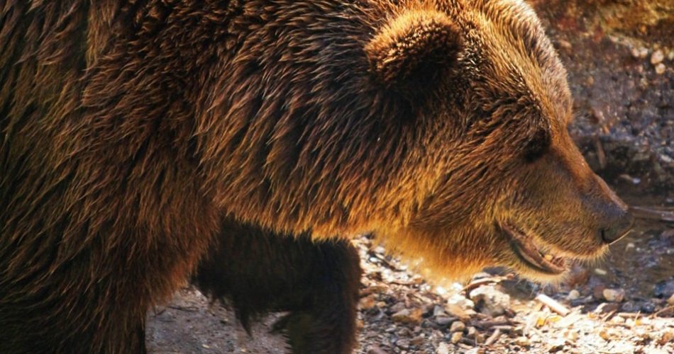 340610320_3726638414289177_8057358498847159483_n