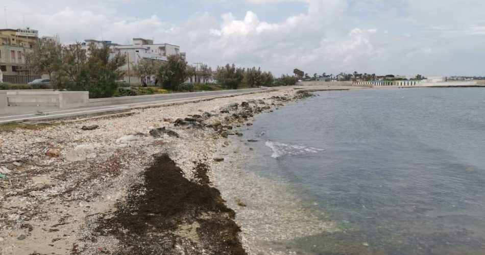 343662656_3561331904146962_2832149999857149094_n