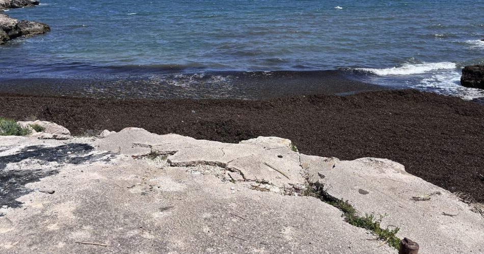 356850674_285553310606162_3120533888294266773_n