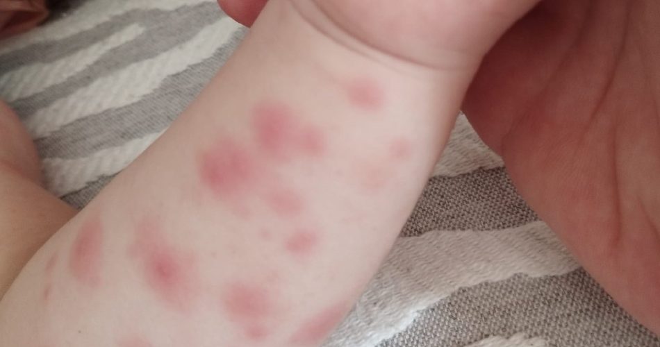 361867237_10229574500777487_8894381694255164204_n