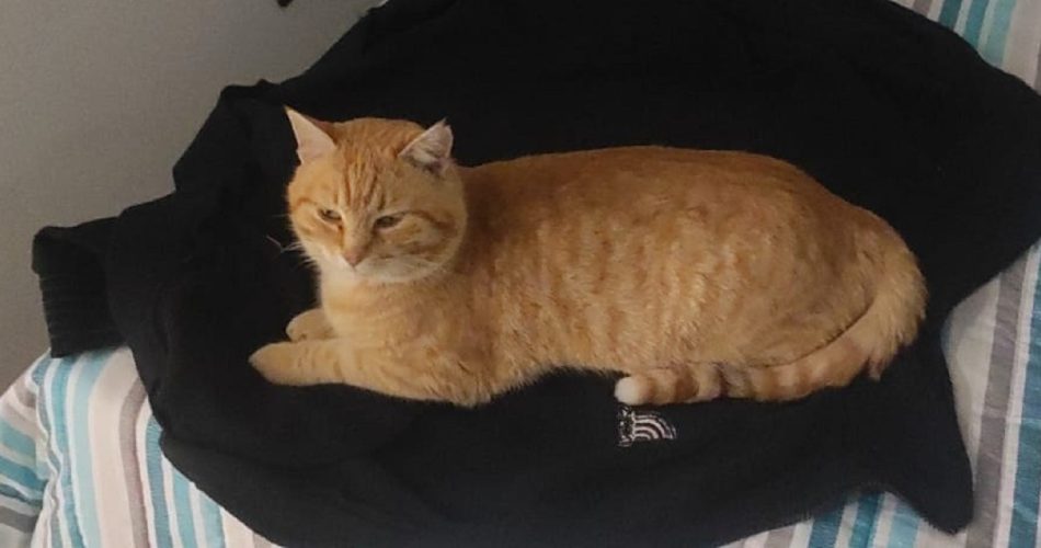 417481292_10232915952461772_4345693243652361565_n