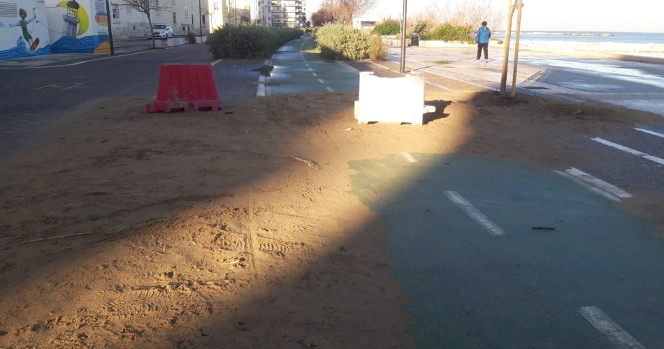 419908953_10230063225236945_7570647314843983794_n