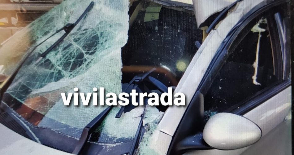 420102640_10229790726688081_1919526517080892563_n