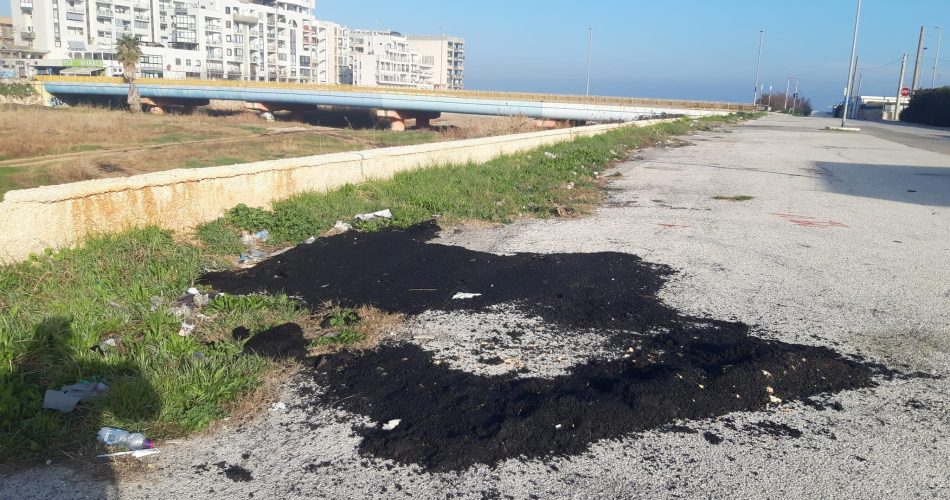 423537148_10230129907263954_4249247876960716765_n