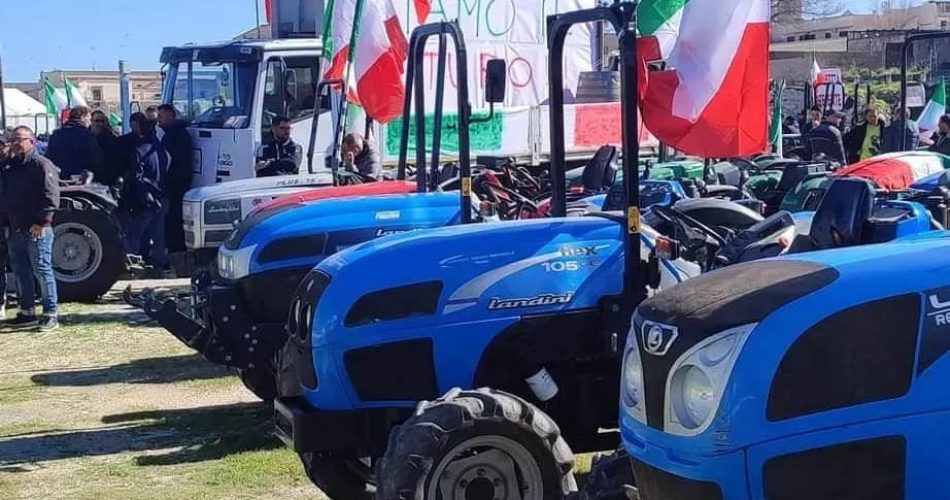 foto europa verde barletta