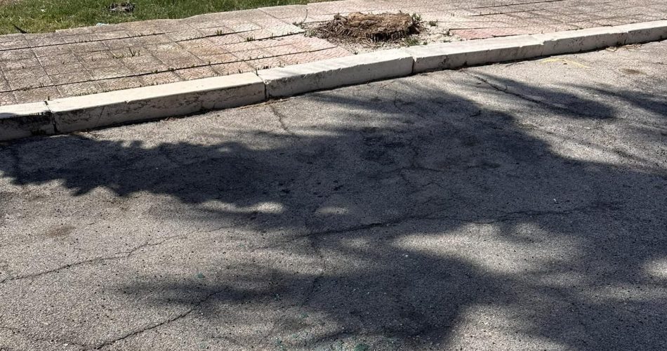 450461604_1025645392894189_6363823527818425883_n