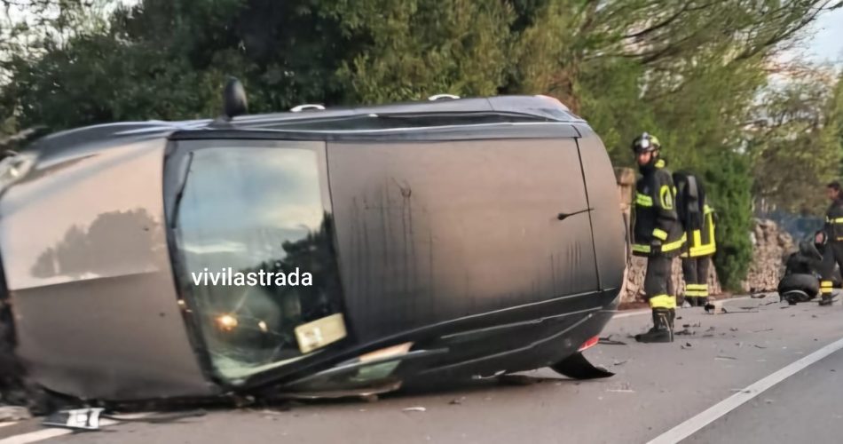 461114076_10231583814114146_1726614379224673468_n vivilastrada