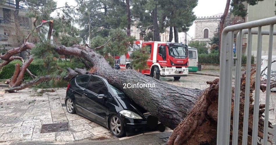 473556023_10233236732756079_3047703928248781134_n