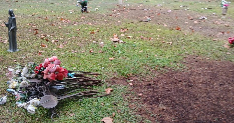 473807766_928017176128747_6642763353414139538_n