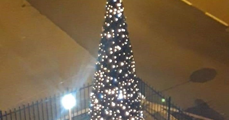 Albero San Paolo comitato Santa Rita