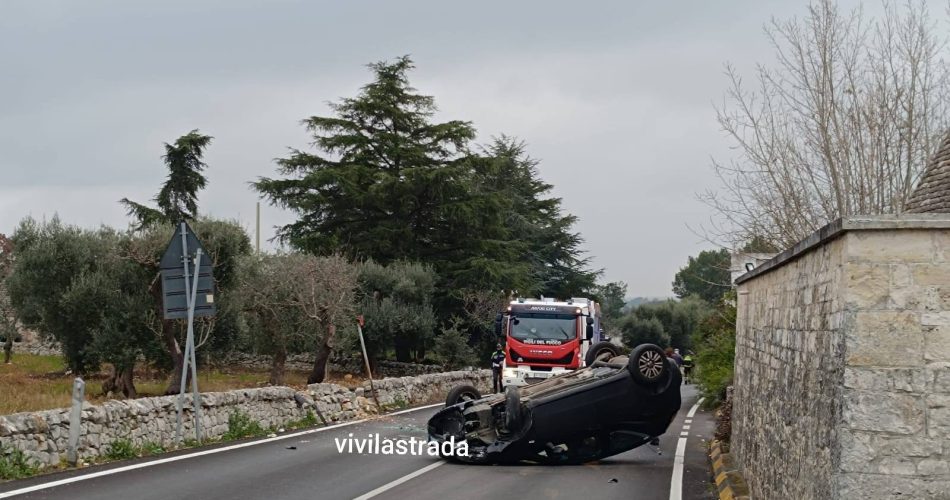 481079161_10233493087084777_3326291054415385095_n