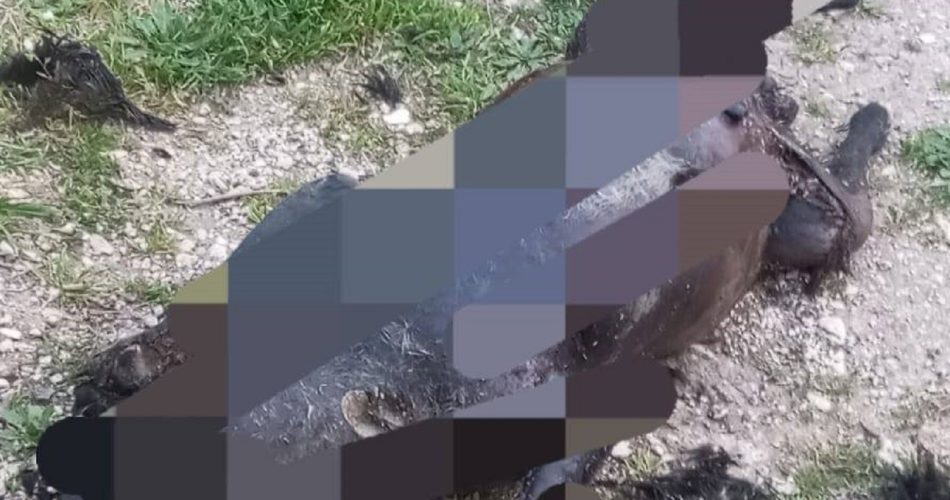 483370618_964739135840824_1659429708408428487_n