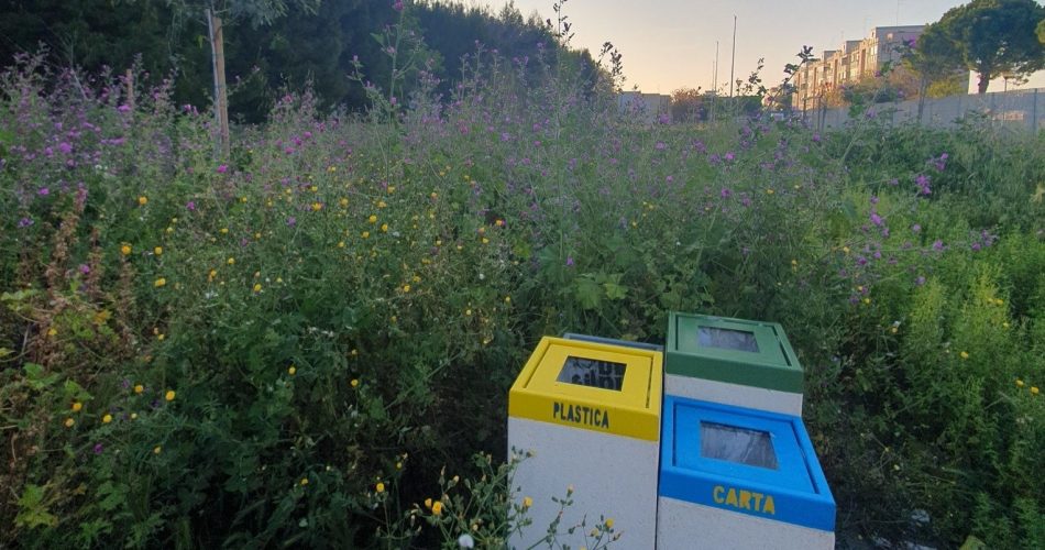 490662913_9098633180241589_1822385387295821265_n