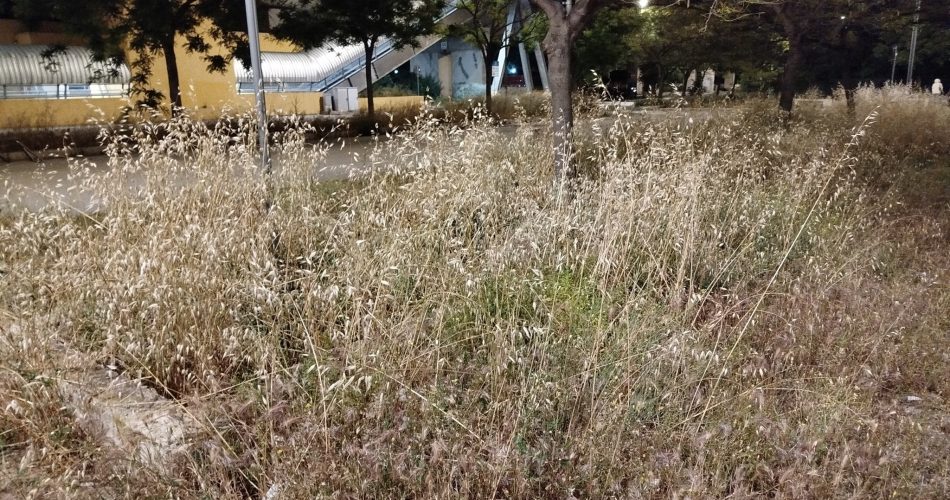 496928347_10232273061428375_5752613999197857350_n