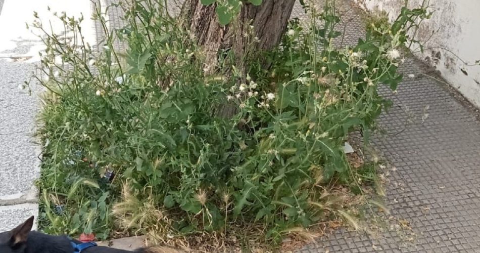 503891860_2404348559938584_3340676480665160446_n (1)