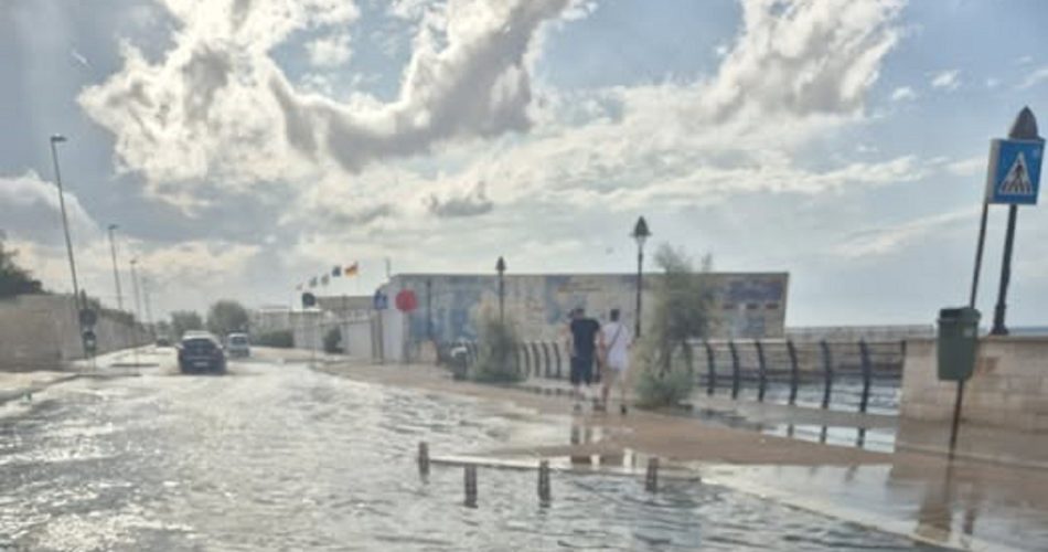 525258025_2655488071509716_7336014310069435807_n