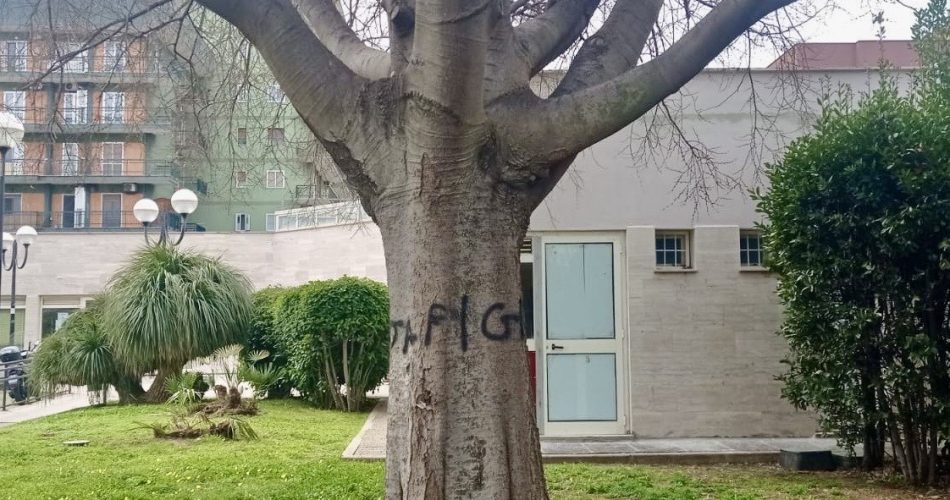 530d07ad-5dac-49f2-8fe6-f46917336dcf