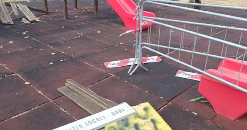 538287052_2254328674991789_4173123233944943862_n