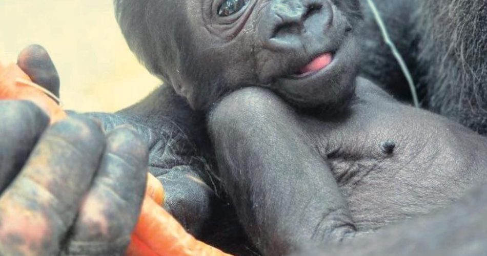 542702580_1174696391357857_9010311139672478929_n