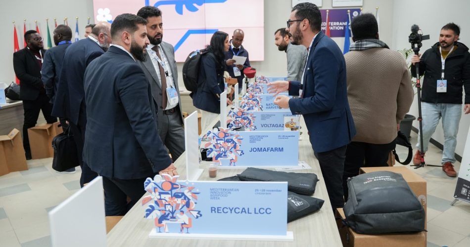 54946825424_bb205a739c_o