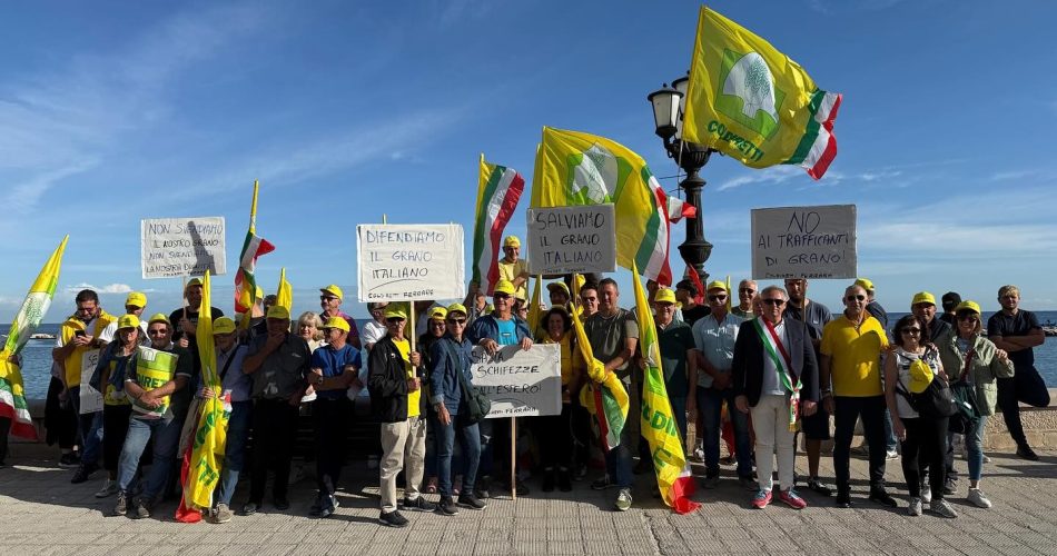 555098596_17979881678919574_8870429665600250296_n