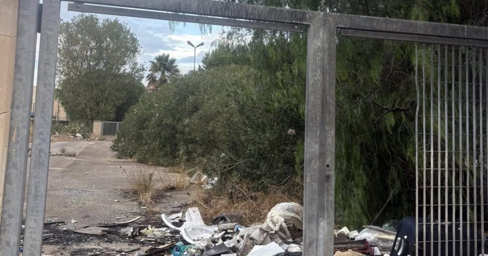 557658860_2233910740369257_6784813169367888302_n