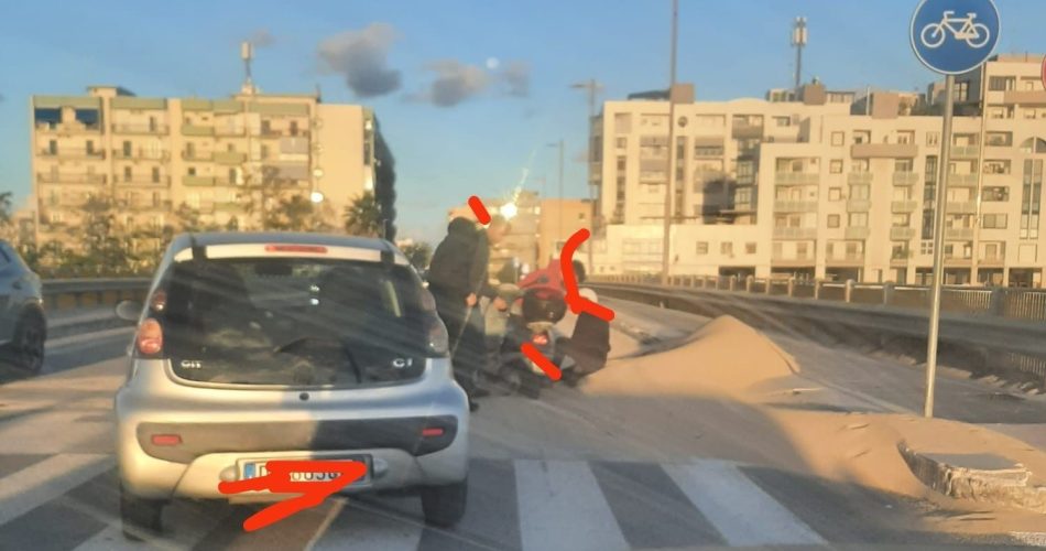 558829569_10236907318735005_1476144991339970114_n