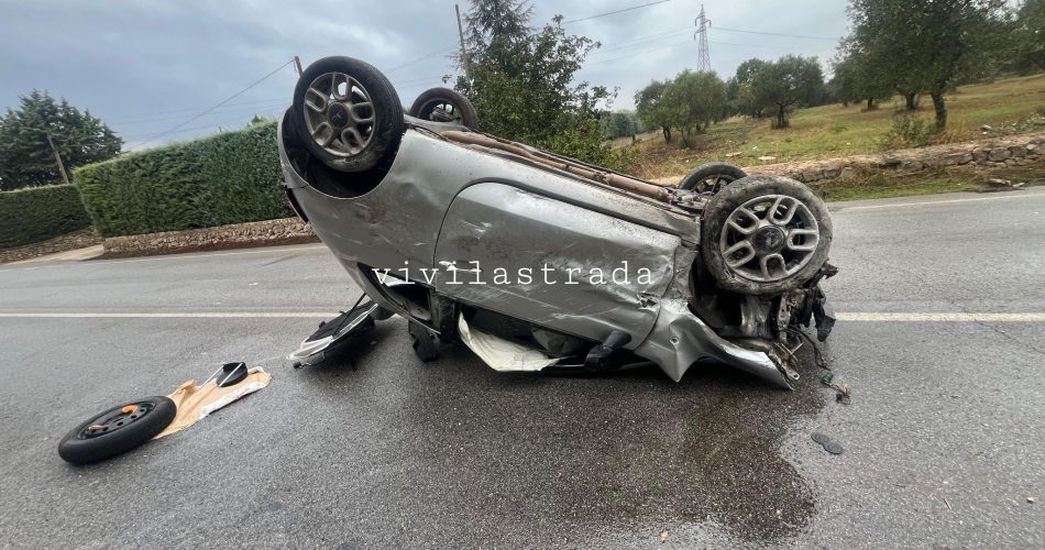 561320827_10236600485087785_5298938433496124727_n