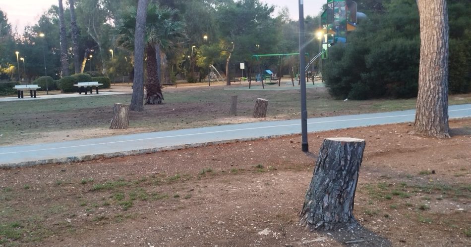 alberi pineta san francesco