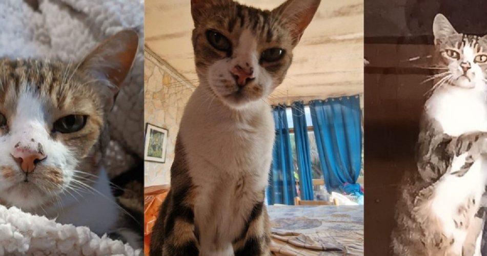 571131550_10238168162653482_4883821173992255376_n