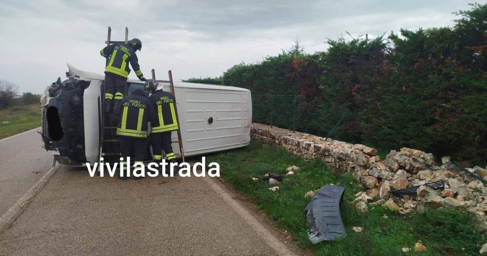 586519516_10237037990345143_9216580326255036588_n