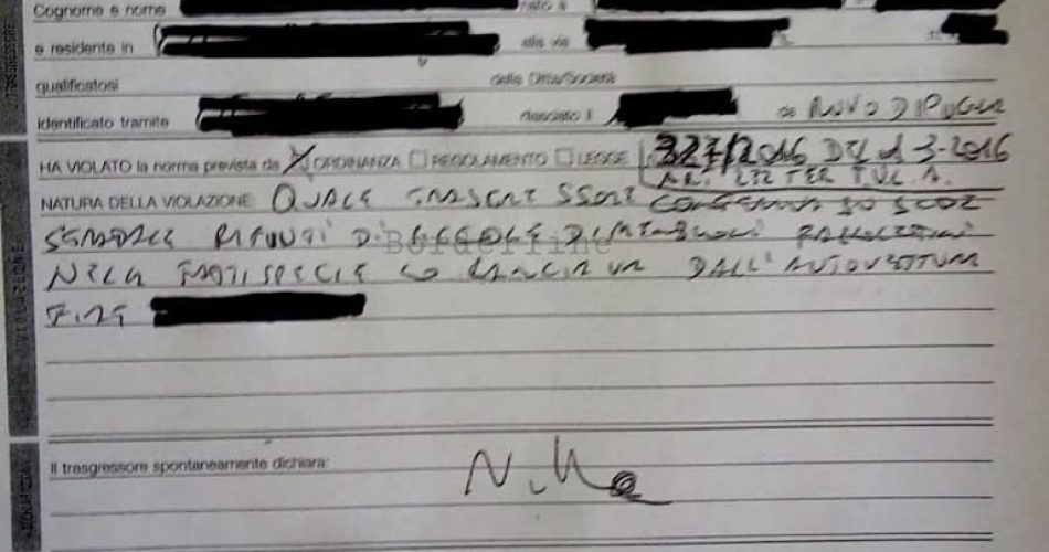 61306342_1888673447900977_1617952633245401088_n