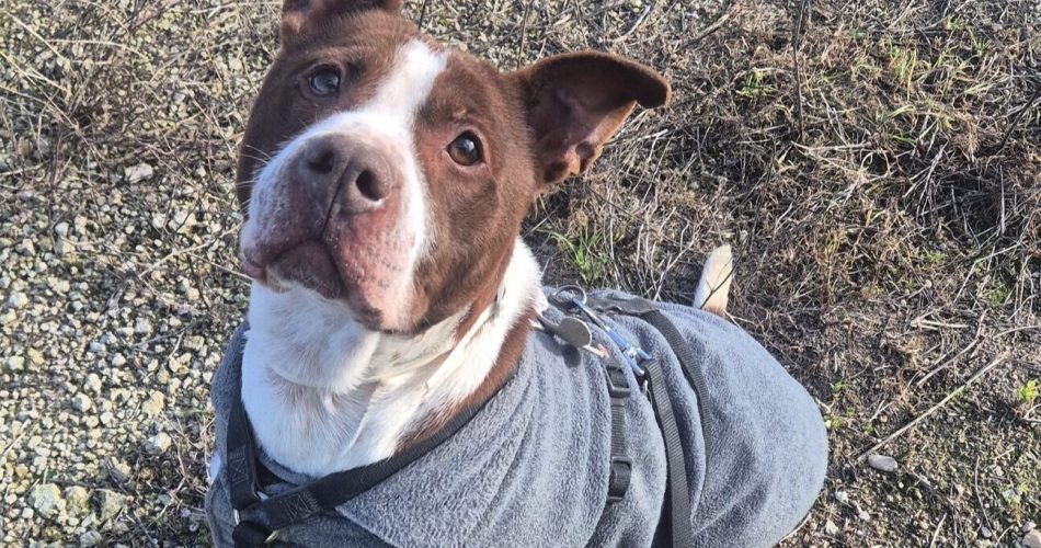 614634246_888751183843488_8240888543726991321_n